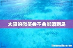 太阳的微笑会不会影响到鸟