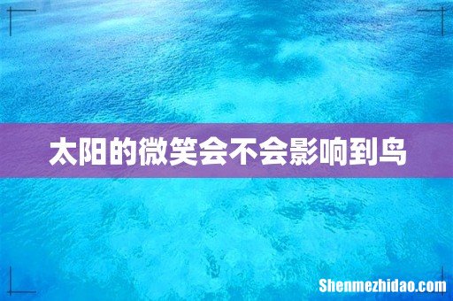 太阳的微笑会不会影响到鸟