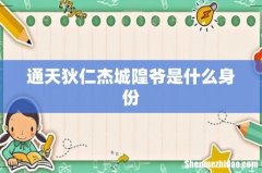 通天狄仁杰城隍爷是什么身份