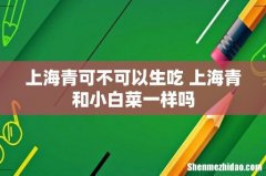 上海青可不可以生吃 上海青和小白菜一样吗