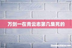 万剑一在青云志第几集死的