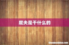 屁夫是干什么的