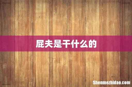 屁夫是干什么的