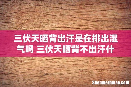 三伏天晒背出汗是在排出湿气吗 三伏天晒背不出汗什么原因