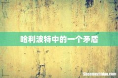 哈利波特中的一个矛盾