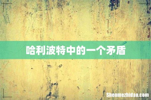 哈利波特中的一个矛盾