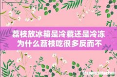 荔枝放冰箱是冷藏还是冷冻 为什么荔枝吃很多反而不会上火