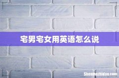 宅男宅女用英语怎么说