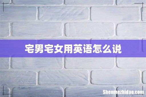 宅男宅女用英语怎么说
