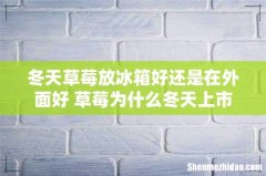 冬天草莓放冰箱好还是在外面好 草莓为什么冬天上市