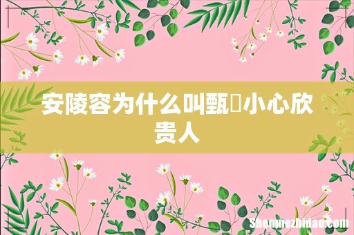 安陵容为什么叫甄嬛小心欣贵人