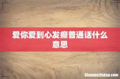爱你爱到心发癫普通话什么意思