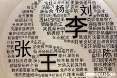 李姓多少人口 中国李姓多少人口