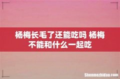 杨梅长毛了还能吃吗 杨梅不能和什么一起吃