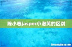 陈小春jasper小泡芙的区别