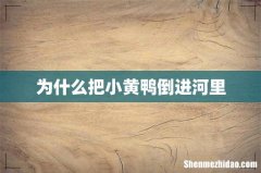 为什么把小黄鸭倒进河里
