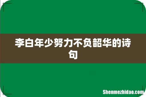 李白年少努力不负韶华的诗句