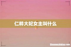 仁粹大妃女主叫什么