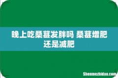 晚上吃桑葚发胖吗 桑葚增肥还是减肥