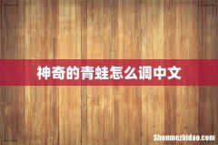 神奇的青蛙怎么调中文