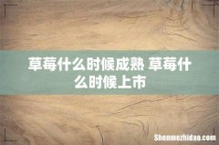 草莓什么时候成熟 草莓什么时候上市