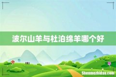 波尔山羊与杜泊绵羊哪个好
