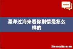 漂洋过海来看你剧情是怎么样的