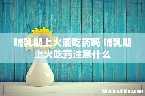 哺乳期上火能吃药吗 哺乳期上火吃药注意什么