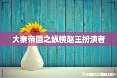 大秦帝国之纵横赵王扮演者