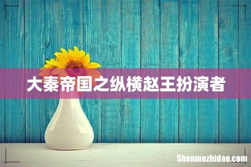 大秦帝国之纵横赵王扮演者