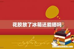 花胶放了冰箱还能晒吗