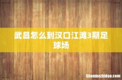 武昌怎么到汉口江滩3期足球场