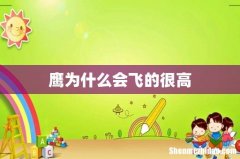 鹰为什么会飞的很高