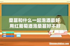 桑葚和什么一起泡酒最好 用红葡萄酒泡桑葚好不好