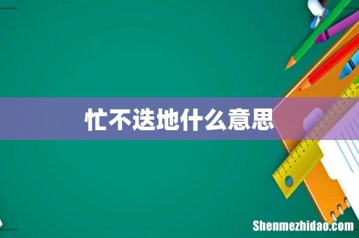 忙不迭地什么意思