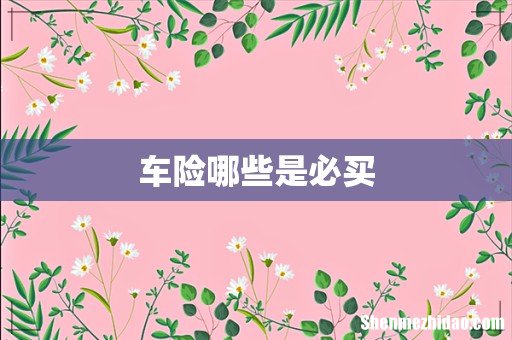 车险哪些是必买