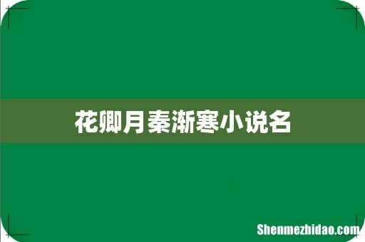 花卿月秦渐寒小说名