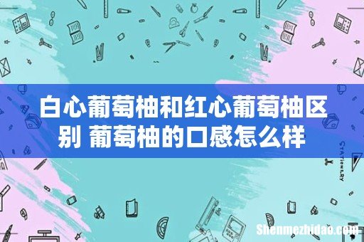 白心葡萄柚和红心葡萄柚区别 葡萄柚的口感怎么样