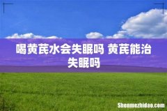 喝黄芪水会失眠吗 黄芪能治失眠吗