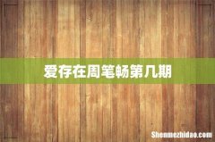 爱存在周笔畅第几期