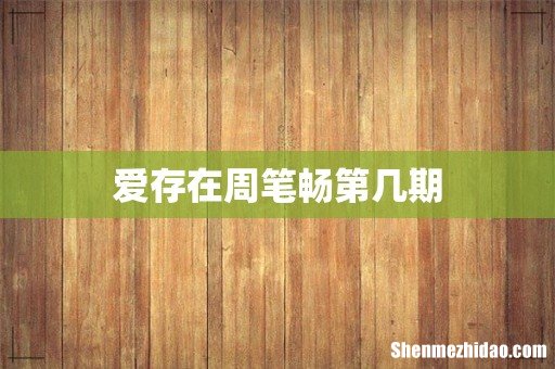 爱存在周笔畅第几期