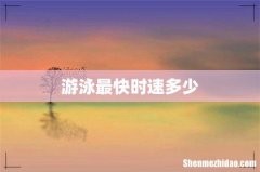 游泳最快时速多少