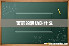 萧瑟的轻功叫什么