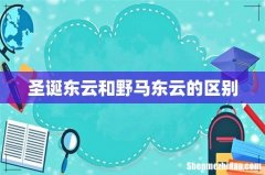 圣诞东云和野马东云的区别