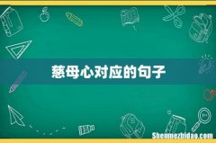 慈母心对应的句子