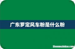 广东罗定风车粉是什么粉