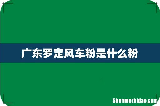 广东罗定风车粉是什么粉