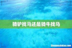 骑驴找马还是骑牛找马