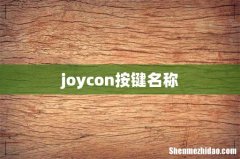 joycon按键名称