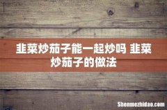 韭菜炒茄子能一起炒吗 韭菜炒茄子的做法